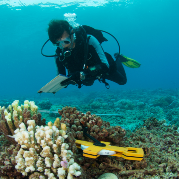 Marine science