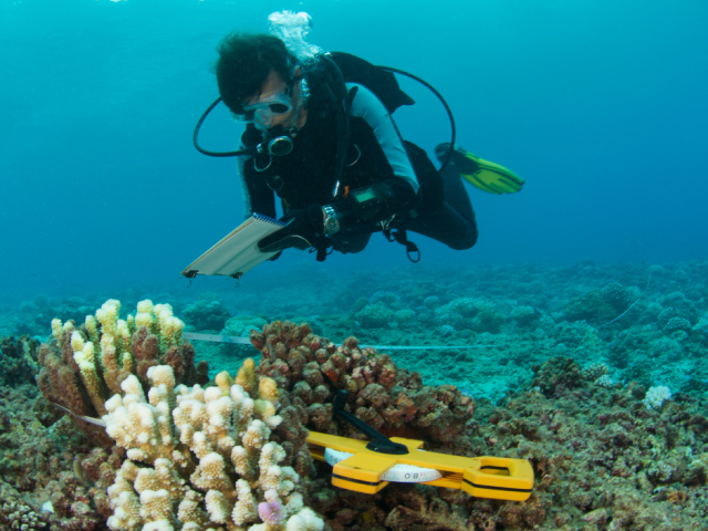 Subsea equipment marine science sector